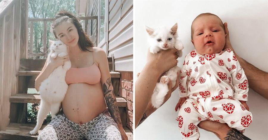 Bà mẹ bầu mềm lòng quyết định nhận nuôi một 