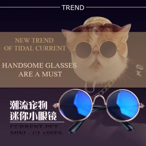 Kính râm thời trang cho chó mèo ( Ảnh thật )